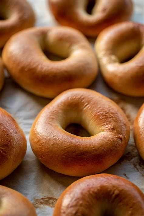 sally's baked bagels